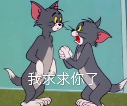 湯姆貓股票股吧，投資熱點與前景展望，湯姆貓股票股吧，投資熱點與未來前景展望