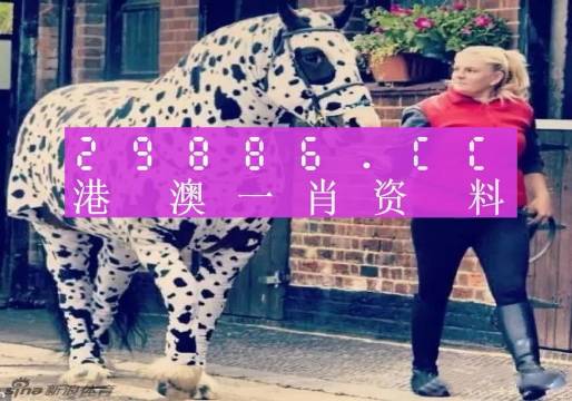 澳彩平肖王中王，一笑一碼的秘密與SEO優(yōu)化策略，澳彩平肖王中王，揭秘一笑一碼背后的SEO優(yōu)化策略
