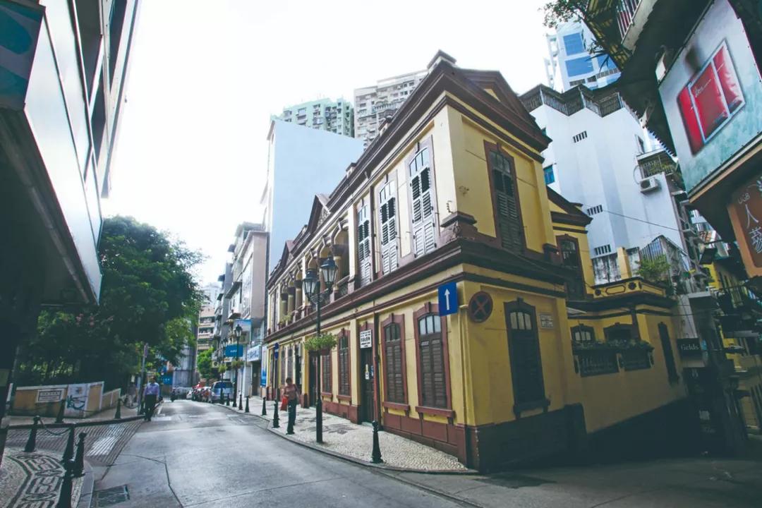 澳門(mén)三期內(nèi)必開(kāi)一肖——揭秘生肖彩票的奧秘，揭秘澳門(mén)生肖彩票三期必開(kāi)一肖的神秘面紗