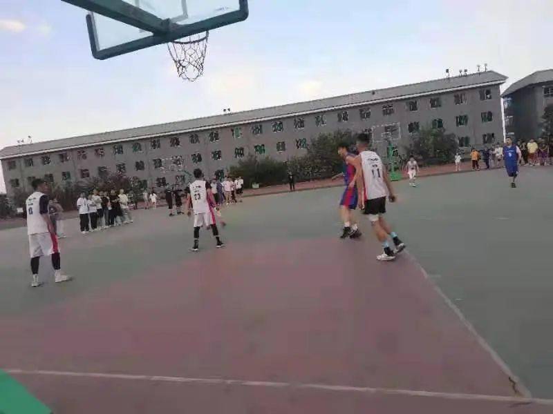 澳門二四六天下彩天天免費(fèi)大全——全面解析澳門彩票文化，澳門彩票文化全面解析，二四六天下彩免費(fèi)大全
