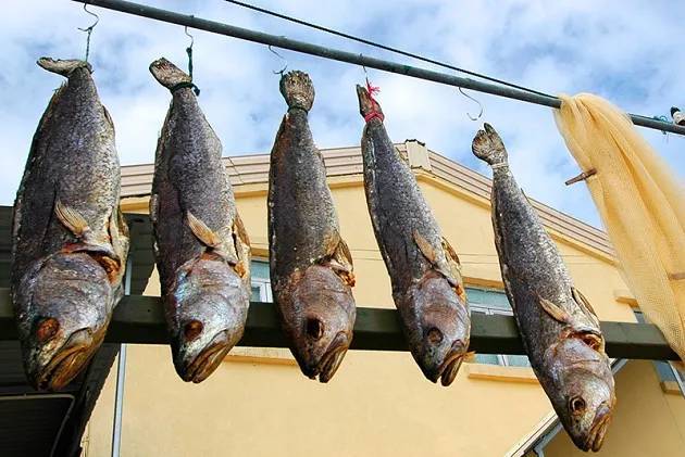 中國一級致癌魚排名及其健康風(fēng)險分析，中國致癌魚排名及健康風(fēng)險解析