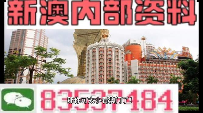 新澳新澳門正版資料，探索與解析，新澳新澳門正版資料深度解析與探索