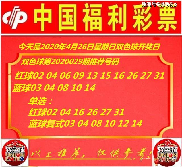 王中王029期指一生肖，揭秘生肖魅力與預(yù)測(cè)背后的秘密，揭秘生肖魅力與預(yù)測(cè)背后的秘密，王中王生肖預(yù)測(cè)第029期揭曉