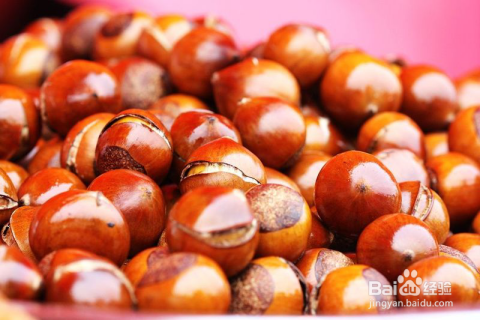 補(bǔ)腎吃什么食物最好——營(yíng)養(yǎng)食物助力腎臟健康，營(yíng)養(yǎng)食物助力腎臟健康，最佳補(bǔ)腎食物推薦