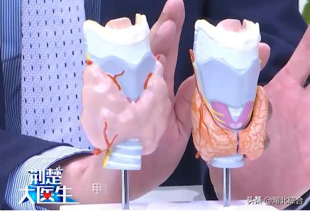 甲減的癥狀，深入了解甲狀腺功能減低的常見表現(xiàn)，深入了解甲狀腺功能減退的癥狀表現(xiàn)，甲減的征兆與常見表現(xiàn)
