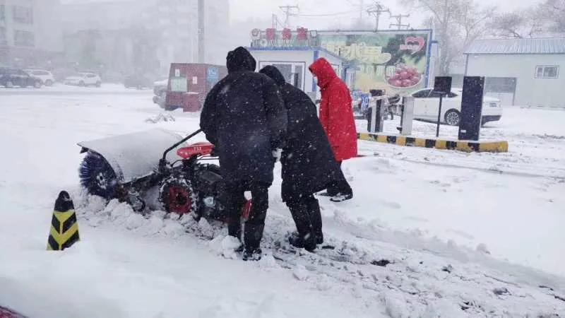 黑龍江將迎來(lái)罕見(jiàn)暴雪天氣，應(yīng)對(duì)與準(zhǔn)備，黑龍江罕見(jiàn)暴雪天氣來(lái)襲，應(yīng)對(duì)與準(zhǔn)備全攻略