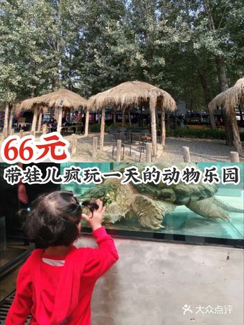 草橋海洋萌寵樂園門票攻略，暢游海洋世界的必備指南，草橋海洋萌寵樂園門票攻略，暢游海洋世界的指南