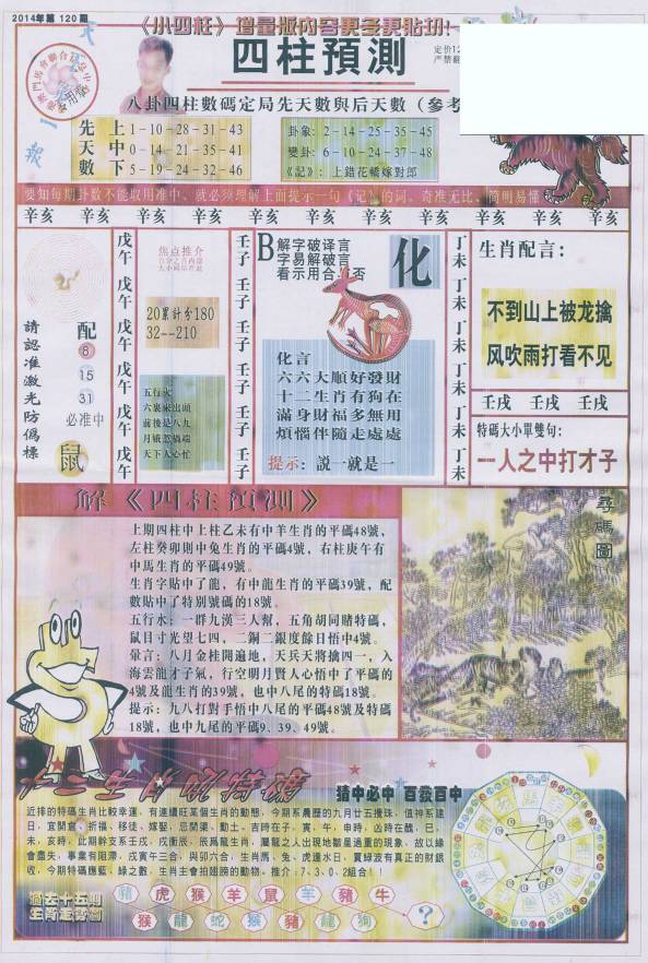 香港王中王找圖看生一肖，揭秘背后的奧秘，揭秘香港王中王找圖看生肖的奧秘