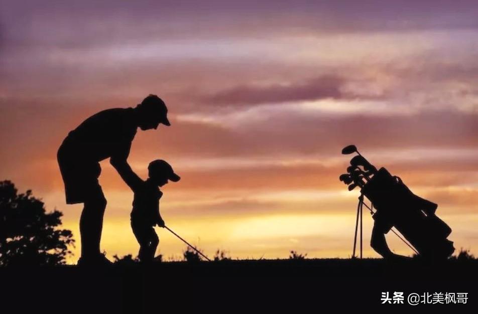 森林之中王中王，探尋生肖之神秘力量——揭秘生肖中的王者形象與森林之王的生肖解讀，揭秘生肖王者形象與森林之王生肖的神秘力量探索
