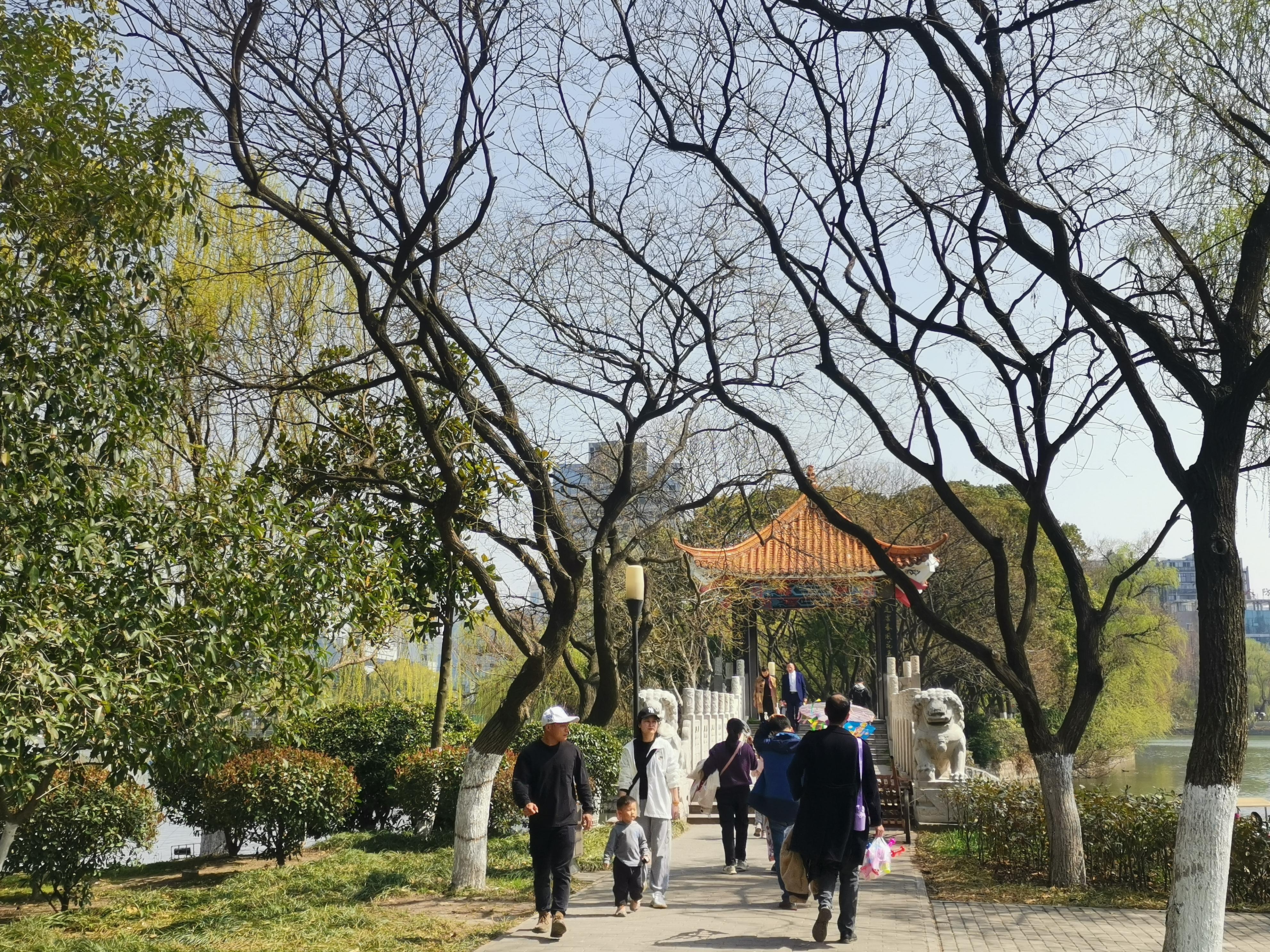 澳門75期最快天天開獎，揭秘彩票背后的秘密與策略，澳門75期天天開獎揭秘，彩票背后的秘密與策略探究