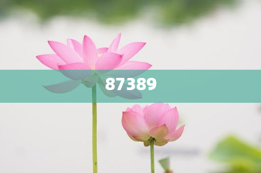 一肖是否包括特肖？深度解析生肖文化中的奧秘，深度解析生肖文化，一肖是否包含特肖？