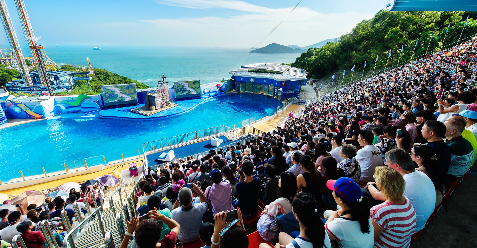香港海洋公園官方網(wǎng)站，探索海洋魅力的首選之地，香港海洋公園官方網(wǎng)站，探索海洋魅力的首選之地