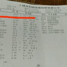 白細(xì)胞高說明什么，解讀身體信號(hào)背后的真相，解讀身體信號(hào)，白細(xì)胞升高揭示的健康真相