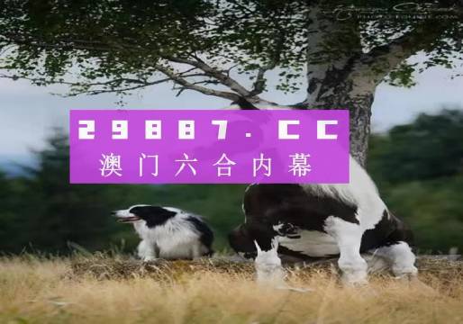 澳門彩資料免費(fèi)公開，探索彩票世界的秘密，澳門彩資料免費(fèi)公開探索彩票奧秘