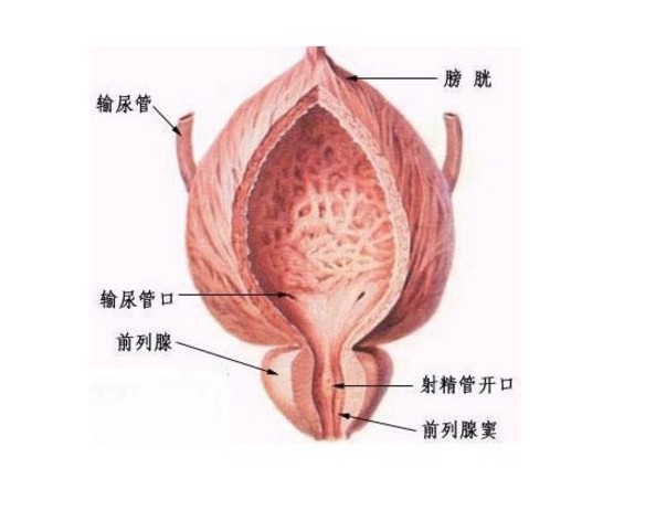 前列腺炎能自愈嗎？解析前列腺炎及其治療方式，解析前列腺炎，能否自愈與有效治療方式探討