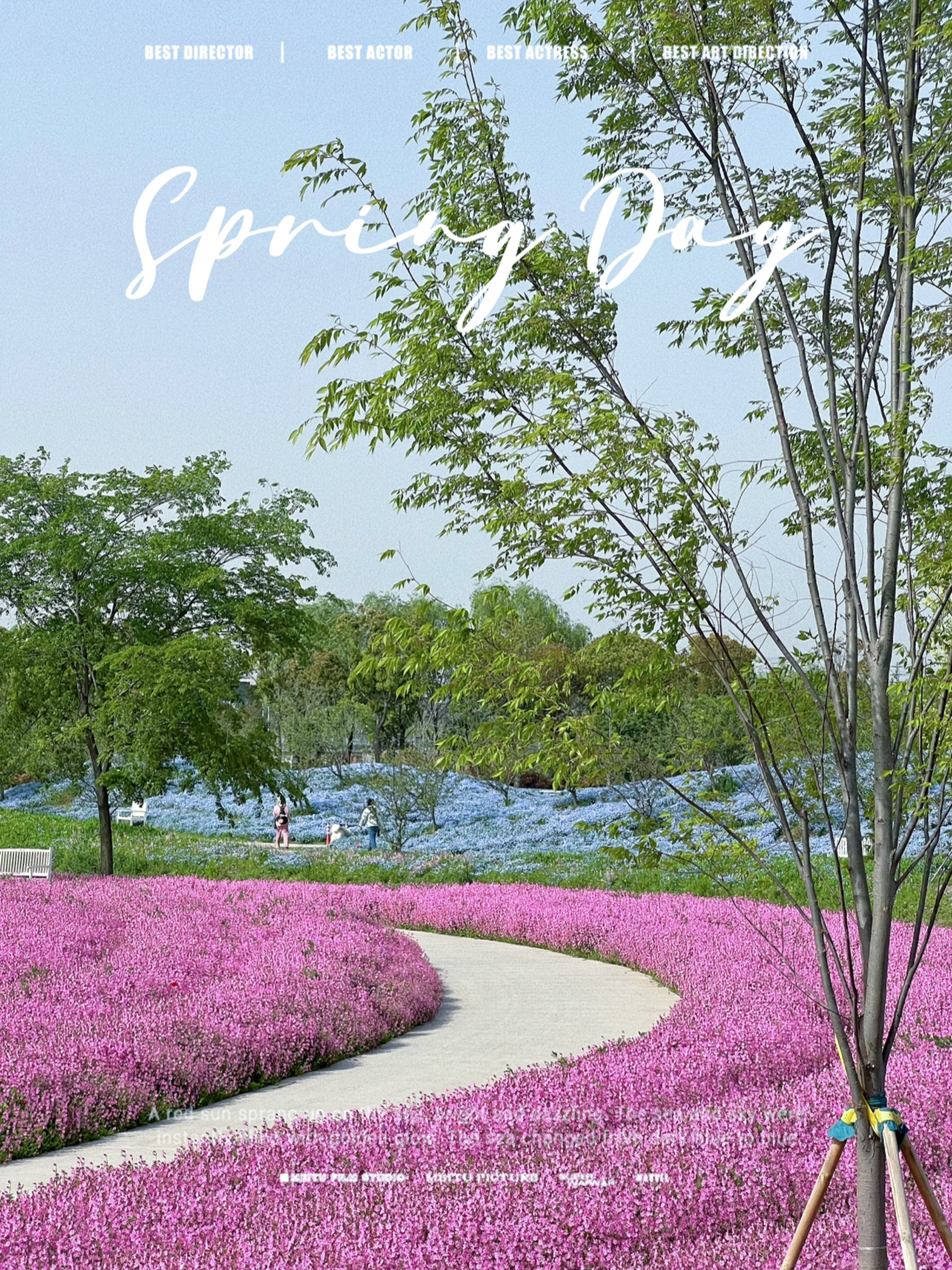 上海最美的花海公園，綻放的自然盛宴，上?；ê９珗@，自然盛宴之美