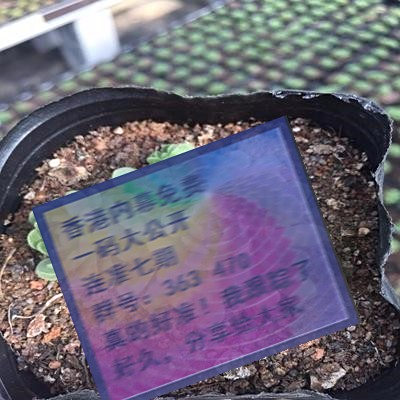 揭秘三肖賠多少錢——全面解析與指南，揭秘三肖賠款金額，全面解析與指南