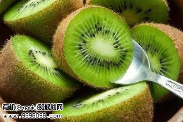 六種人不宜吃獼猴桃，了解獼猴桃食用禁忌，六種人群慎食獼猴桃，揭示獼猴桃食用禁忌
