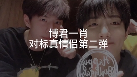 一肖拖一肖二中二有幾組——深度解析與探索，深度解析與探索，一肖拖一肖二中二有多少組組合？