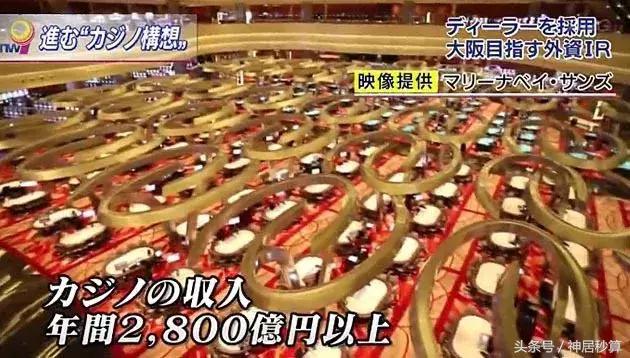新澳門特生肖走勢圖及其相關(guān)SEO分析，澳門特生肖走勢圖及其SEO策略分析