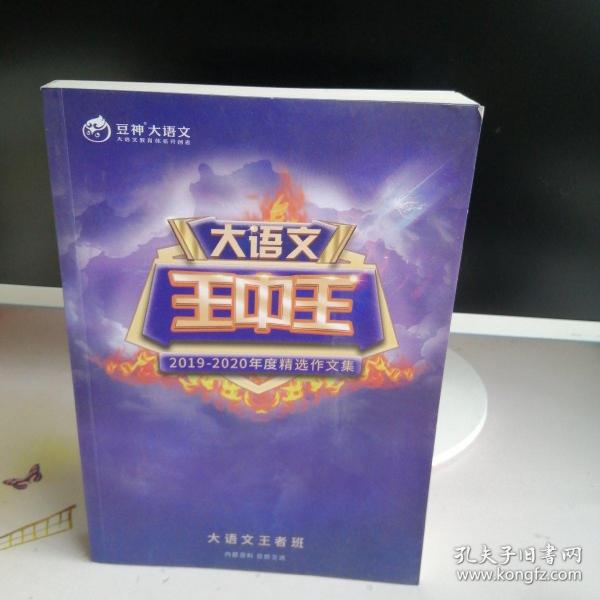 揭秘2019王中王資料一肖，全方位解讀背后的故事，揭秘王中王資料一肖背后的故事，全方位解讀與深度剖析