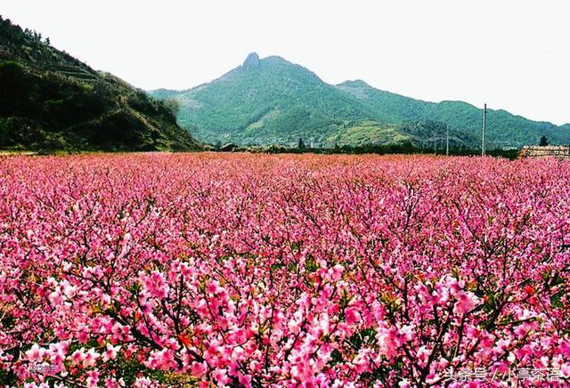 鄭州旅游攻略必去景點(diǎn)大全，鄭州旅游攻略，必游景點(diǎn)全攻略