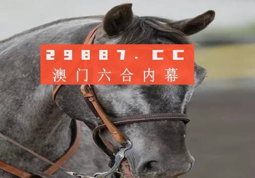 揭秘王中王黃大仙一肖中特馬，神秘現(xiàn)象背后的真相，揭秘王中王黃大仙與特馬現(xiàn)象，神秘背后的真相探索