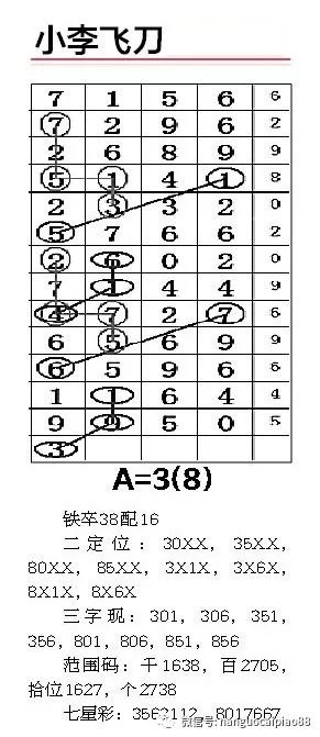 一肖二碼中平特，揭秘彩票奧秘與策略，揭秘彩票奧秘，一肖二碼中平特策略揭秘