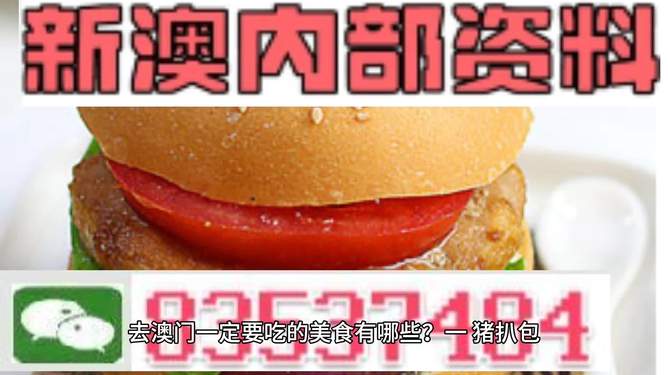新門內(nèi)部資料精準(zhǔn)大全——探索未知領(lǐng)域的關(guān)鍵信息，新門內(nèi)部資料大全，揭秘未知領(lǐng)域的關(guān)鍵信息