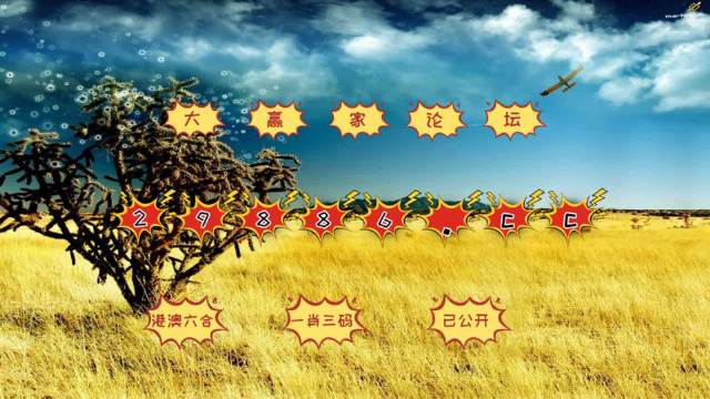 澳門4949開獎結(jié)果最快四不像解析，澳門4949開獎結(jié)果解析與四不像探討