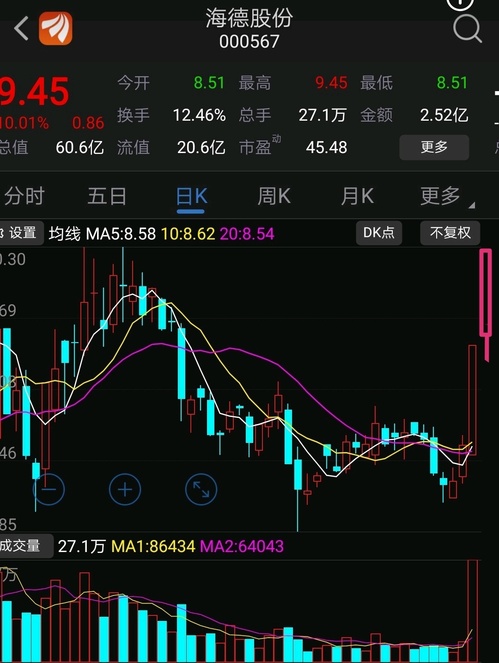 海德股份股票股吧，深度解析與前景展望，海德股份深度解析及前景展望，股票股吧探討