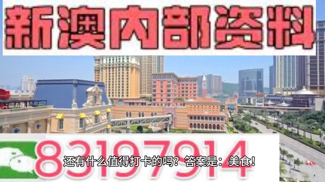 2025新澳正版資料精準(zhǔn)解析與預(yù)測(cè)，2025新澳正版資料精準(zhǔn)解析與趨勢(shì)預(yù)測(cè)