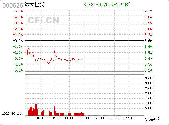 關(guān)于000626遠大控股股吧的全面解析，000626遠大控股股吧深度解析