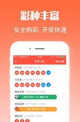 王中王三肖選一，深度解析與SEO優(yōu)化策略，王中王三肖選深度解析與SEO優(yōu)化策略指南
