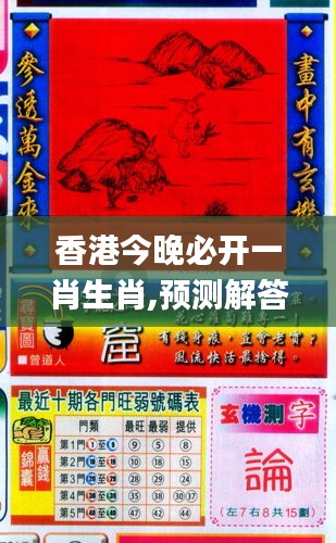 香港與彩王中王精準一肖，揭秘彩票背后的秘密，揭秘彩票背后的秘密，香港與彩王中王精準一肖探究