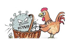 揭秘H7N9病毒，了解它的起源、特性與影響，H7N9病毒揭秘，起源、特性與影響全解析
