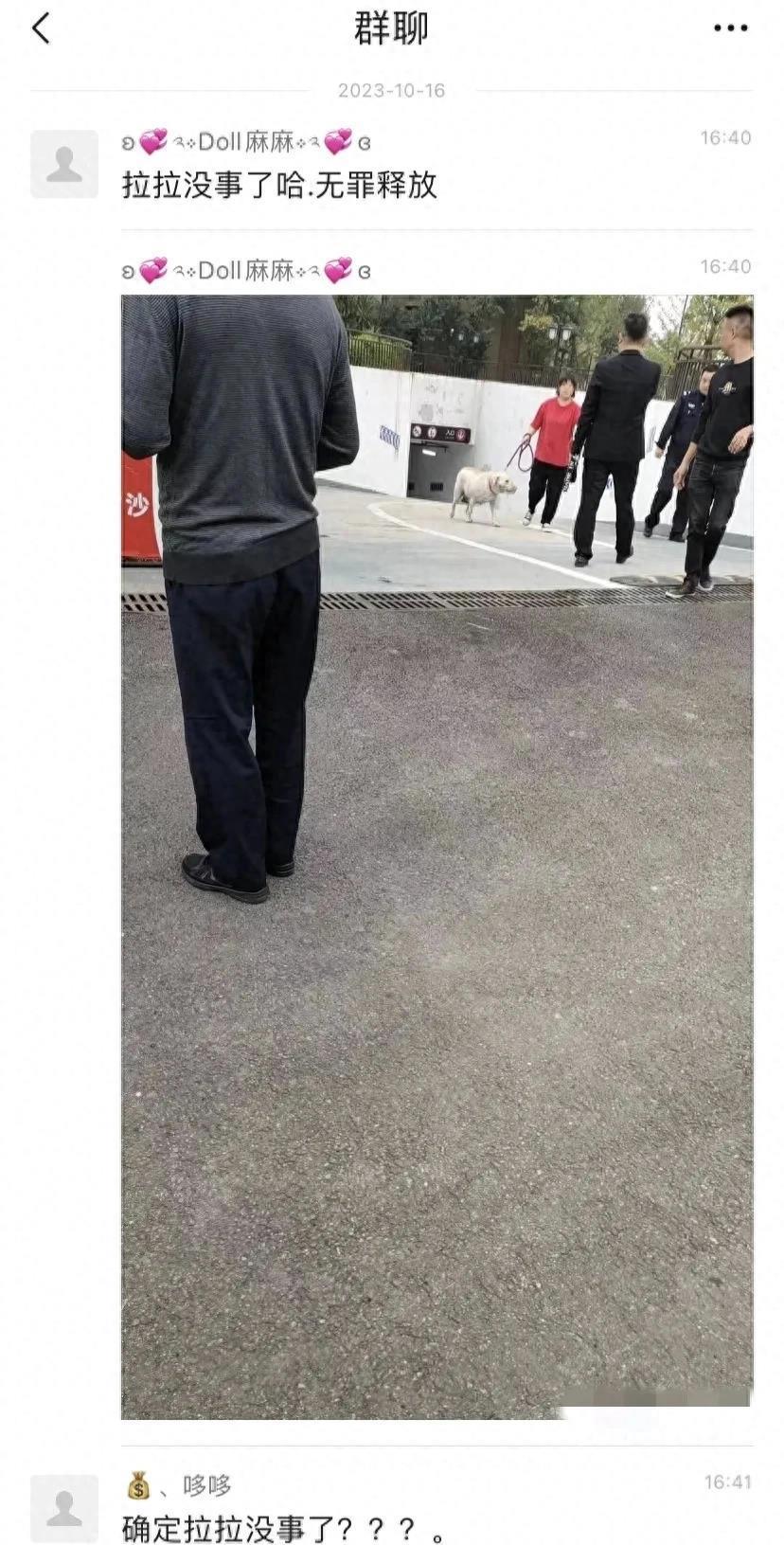 狗咬了多久過安全期，深入了解與應(yīng)對方法，狗咬傷后的安全期及應(yīng)對方法詳解