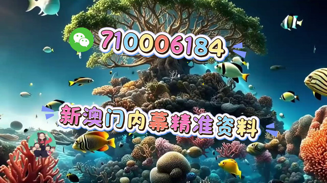 澳門正版生肖圖，探索未來的精準(zhǔn)預(yù)測與生肖運(yùn)勢展望（2025年），澳門正版生肖圖揭秘，未來生肖運(yùn)勢展望與精準(zhǔn)預(yù)測（2025年）