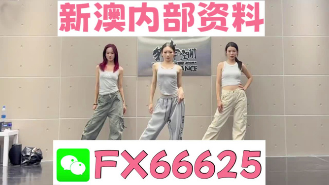 管家婆必出一中一特圖片，揭秘背后的故事與神秘魅力，揭秘管家婆必出一中一特圖片背后的故事與神秘魅力