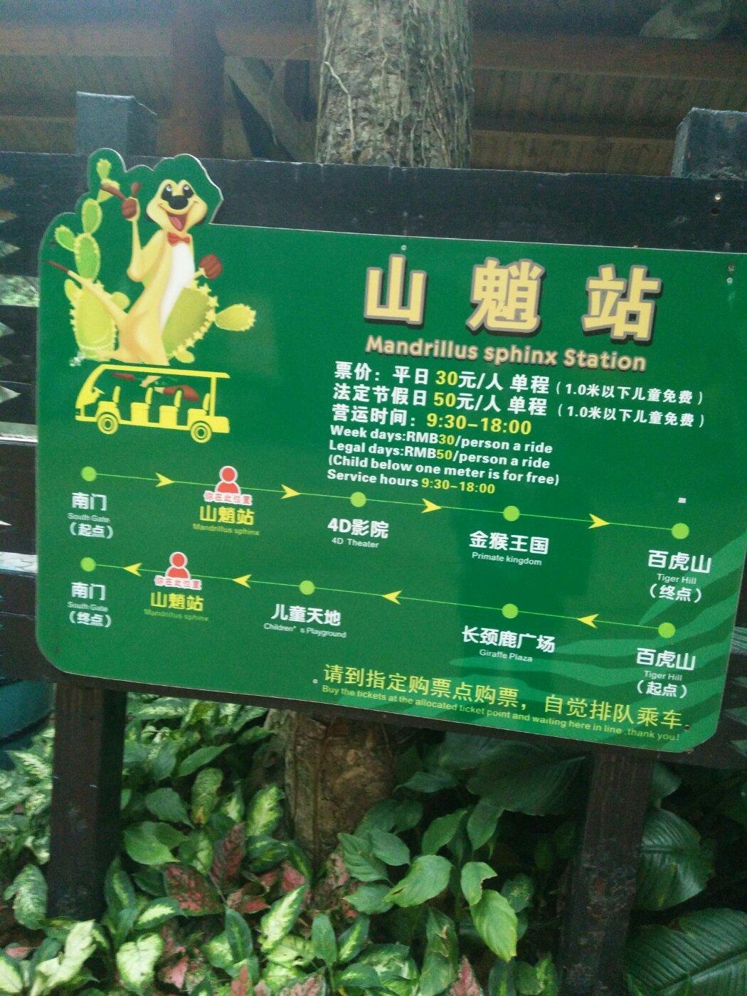 廣州長隆動(dòng)物園門票攻略，一站式解決你的購票疑問，廣州長隆動(dòng)物園門票攻略，購票疑問一站式解決