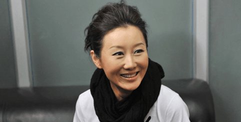 孫楠老婆潘蔚資料大全，孫楠妻子潘蔚資料概覽