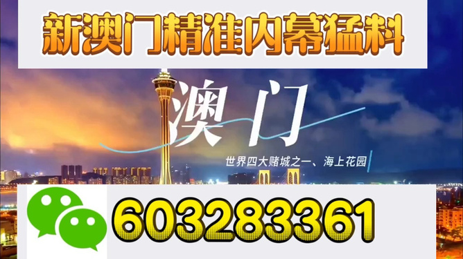 新澳門開獎結(jié)果，探索與解析，新澳門開獎結(jié)果深度解析與探索