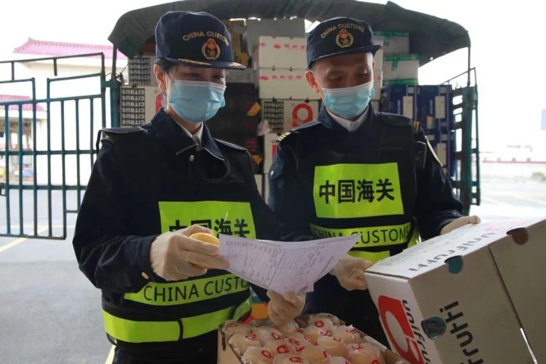 澳門彩票開獎結(jié)果快速揭曉，探索最新開獎動態(tài)與中獎秘籍，澳門彩票最新開獎結(jié)果及中獎秘籍探索