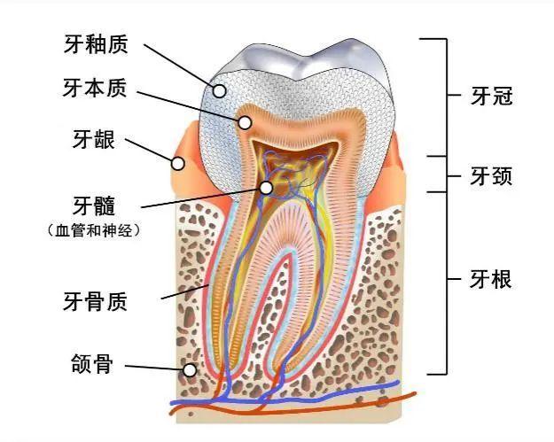 男人更年期一般多久，全面解析與關(guān)注，全面解析與關(guān)注，男人更年期的時長及影響