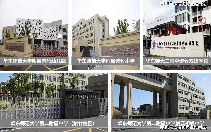 新奧門(mén)特資料49圖庫(kù)，深度解析與探索，新奧門(mén)特資料49圖庫(kù)，深度探索與解析