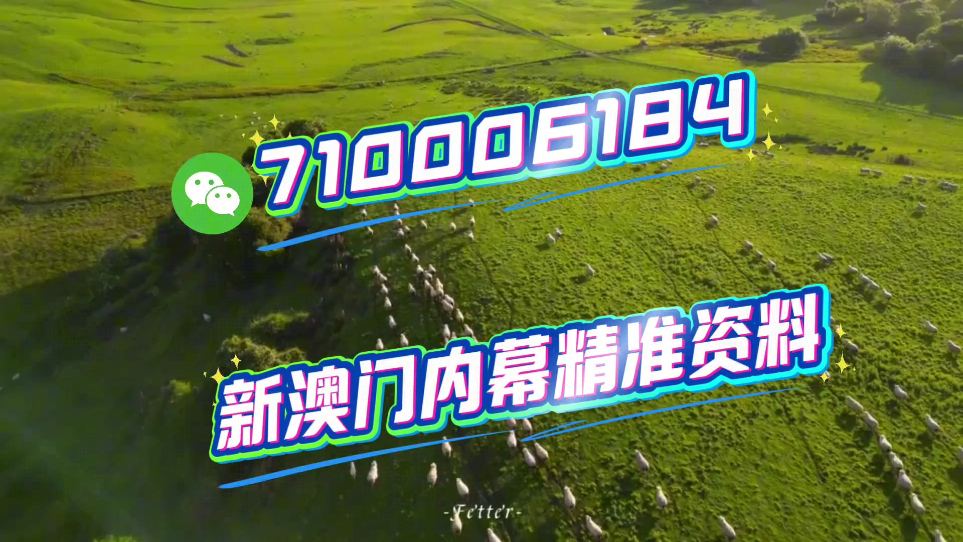 澳門(mén)特馬今晚開(kāi)獎(jiǎng)49，探索彩票背后的故事與未來(lái)展望（2025年），澳門(mén)特馬今晚開(kāi)獎(jiǎng)49，彩票背后的故事與未來(lái)展望（2025展望）