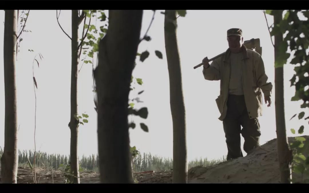 今晚劉伯溫四不像一肖圖，揭秘神秘預(yù)測背后的故事，揭秘劉伯溫四不像一肖圖的神秘預(yù)測故事