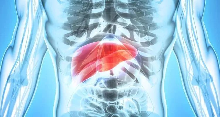 肝不好有什么癥狀，全面解析與關(guān)注，全面解析關(guān)注，肝臟不良癥狀的表現(xiàn)