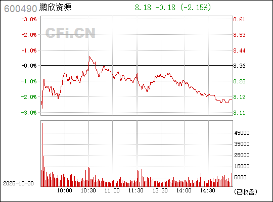 鵬欣資源股吧——探索600490的魅力與價值，鵬欣資源股吧，探索股票600490的魅力與價值