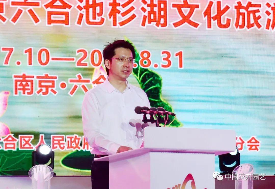 澳門六合之家，探索其獨特魅力與歷史背景，澳門六合之家，獨特魅力與歷史背景探索